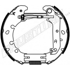 6391 TRUSTING Комплект тормозных колодок
