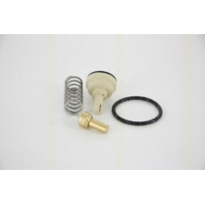 8620 34487 TRISCAN Термостат, охлаждающая жидкость