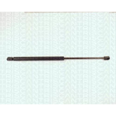 8710 1608 TRIDON Gas spring rear