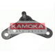 9921486<br />KAMOKA