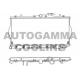 103938<br />AUTOGAMMA