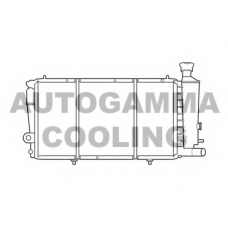 100172 AUTOGAMMA Радиатор, охлаждение двигателя