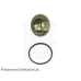 ADT39202 BLUE PRINT Термостат, охлаждающая жидкость
