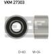 VKM 27303