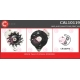 CAL10119