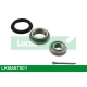 LKBA67001