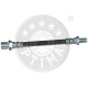 BSL-1034