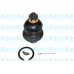 SBJ-5502 KAVO PARTS Несущий / направляющий шарнир