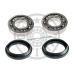 971615 OPTIMAL Комплект подшипника ступицы колеса