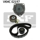 VKMC 02197