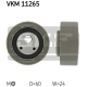 VKM 11265