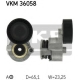 VKM 36058