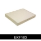 EKF163