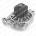 WP1724 DELPHI Водяной насос