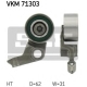 VKM 71303