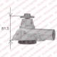 WP1060
