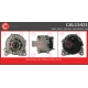 CAL15431