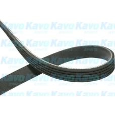 DMV-5506 KAVO PARTS Поликлиновой ремень