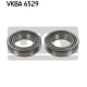 VKBA 6529