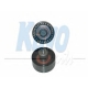 DID-4520