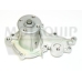 VWP505 MOTAQUIP Водяной насос