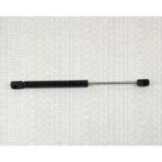 8710 12204 TRIDON Gas spring rear