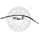 BSL-430