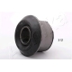 GOM-312<br />Ashika