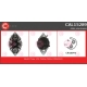 CAL15289