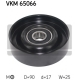 VKM 65066