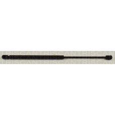 8710 15220 TRIDON Gas spring rear