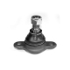 0401425<br />OCAP