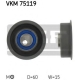VKM 75119