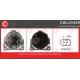 CAL15419