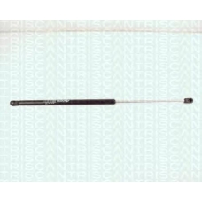 8710 1602 TRIDON Gas spring rear