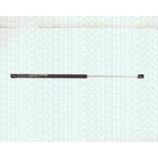 8710 1610 TRIDON Gas spring rear