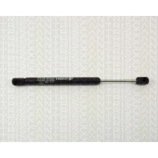 8710 11211 TRIDON Gas spring rear