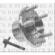 BWK1113