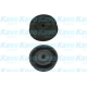 DIP-5505