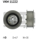 VKM 11222