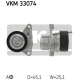 VKM 33074