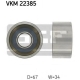 VKM 22385