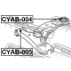 CYAB-004